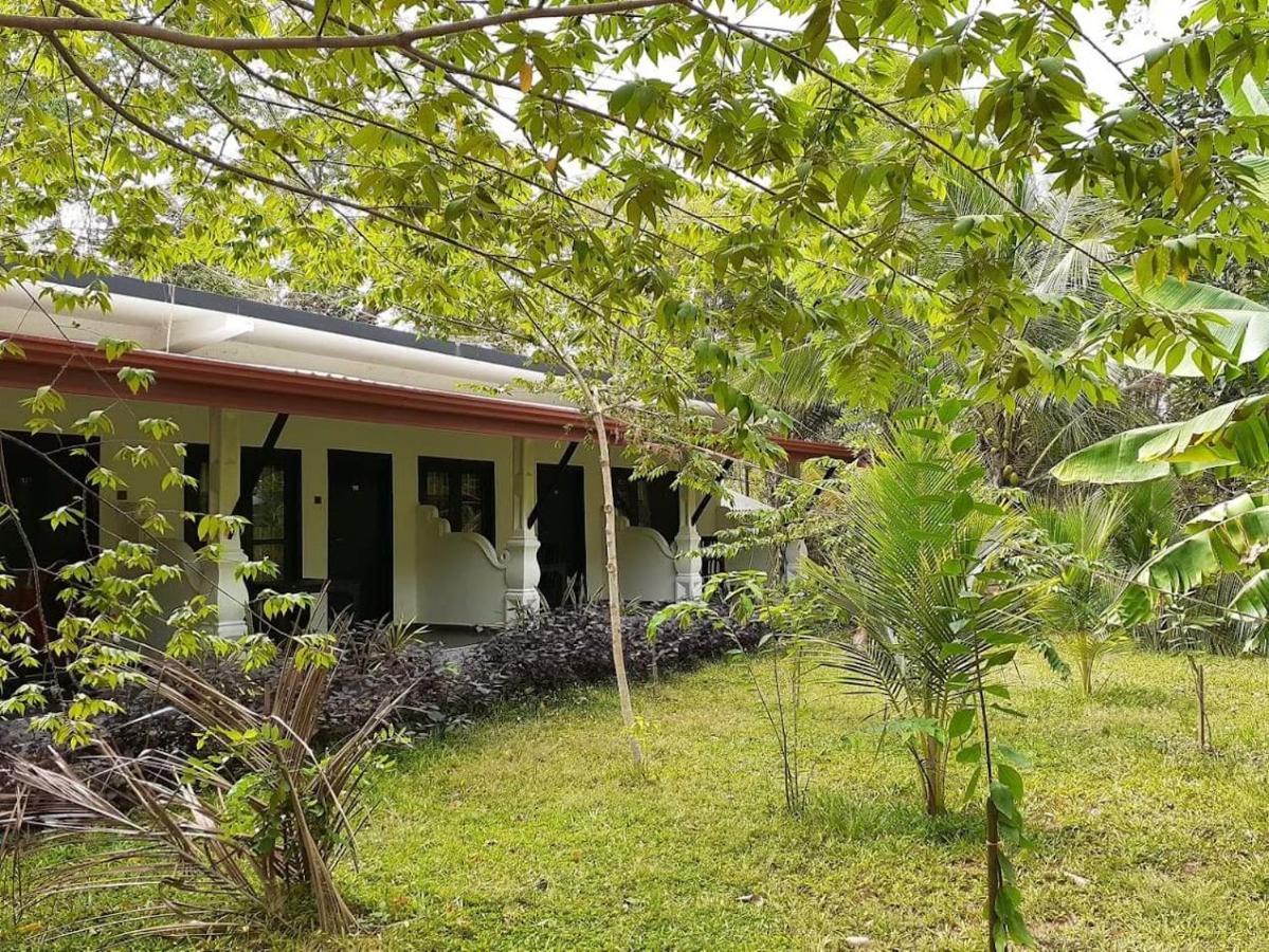 Amron Resort Sigiriya Eksteriør bilde