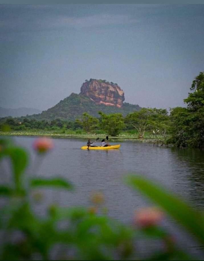 Amron Resort Sigiriya Rom bilde