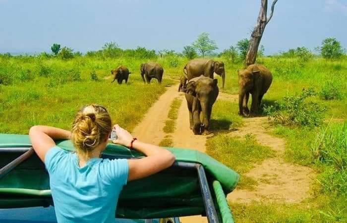 Amron Resort Sigiriya Rom bilde